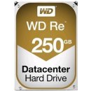 Pevný disk interní WD RE4 250GB, WD2503ABYZ