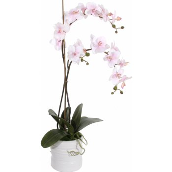 SHISHI Orchidej s květináčem 75 x 40 cm růžová