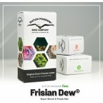 Dutch Passion Frisian Dew semena neobsahují THC 3 ks – Zboží Mobilmania