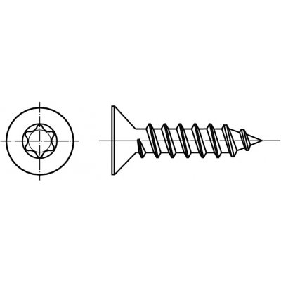 PROFISTYL DIN 7982C šroub do plechu se zápustnou hlavou TORX (ostrá špička) nerez A2 Varianta: DIN 7982C šroub do plechu ZH TORX A2 4,8x45 – Zboží Mobilmania