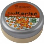 Saloos Bio rakytníkový balzám 50 ml – Hledejceny.cz