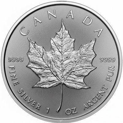 Royal Canadian Mint Stříbrná mince Maple Leaf 2026 1 oz – Zboží Dáma