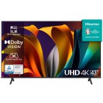 Hisense 43A6N – Zboží Živě