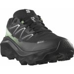 Salomon Thundercross GTX M L47279000 black/green gecko/black – Zboží Dáma