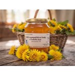 Včelařství Thomayer Med z pampeliškové louky z Českého lesa 900 g – Hledejceny.cz