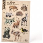 Lesní svět Velké vylomeniny Mláďata – Zboží Mobilmania