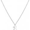 Náhrdelník Šperky4U Ocelový náhrdelník, písmeno R OPD0339-R