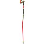 Leki WCR GS Carbon 3D 2024/25 – Zboží Dáma