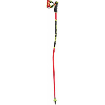 Leki WCR GS Carbon 3D 2024/25 – Zboží Dáma
