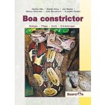 Boa constrictor – Hledejceny.cz