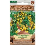 MoravoSeed Moravo Seed Rajče keříčkové balkonové Aztek 40 ks žluté