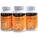 Sportwave Tribulus+ 360 kapslí – Hledejceny.cz