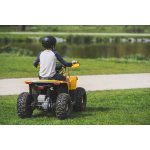 Lamax eBumbleBee ATV60M | Zboží Auto