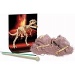Mac Toys Dinosauří kostra REX – Zboží Mobilmania