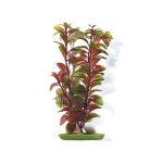 Hagen rostlina Red Ludwigia 20 cm – Zboží Mobilmania
