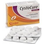 Instituto farm. Candioli S.p.A Cystocure forte 30 tbl – Hledejceny.cz