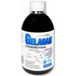 Gelacan Chondro Forte Biosol 500 ml – Hledejceny.cz