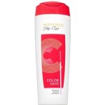 Dermacol Hair Care Color Save šampon pro barvené vlasy 250 ml – Zboží Mobilmania