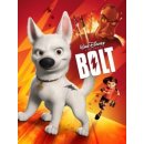 Bolt