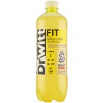 DrWitt FIT mango cit. zel.čaj 0,75 l – Hledejceny.cz