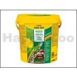 Sera Raffy vital 10 000ml – Zboží Dáma