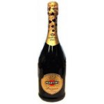 Martini Prosecco Extra Dry 11,5% 0,75 l (holá láhev) – Hledejceny.cz