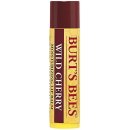 Burt´s Bees Lip Care hydratační balzám na rty (Wild Cherry) 4,25 g