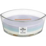 WoodWick Trilogy Amethyst Sky 453,6 g – Zboží Dáma
