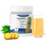 Herbs Energy Magnesium Drink Ananas 30 dávek – Hledejceny.cz