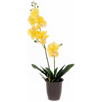 82530332 - Europalms Orchidej žlutá, 57 cm - 0