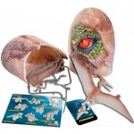 Simba dinosaura ve vajíčku svítící ve tmě Pteranodon – Hledejceny.cz