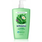 Schwarzkopf Schauma 7 Herbs Freshness bylinný šampon pro normální až mastné vlasy 1000 ml – Hledejceny.cz