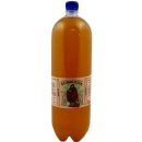 Stevikom Kombucha Green Tea 2 l