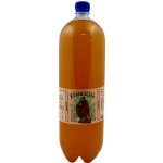 Stevikom Kombucha Green Tea 2 l – Sleviste.cz