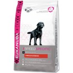 Eukanuba Labrador Retriever 2 x 12 kg – Hledejceny.cz