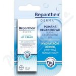 Bepanthen Derma krém na rty 7.5 ml – Zboží Dáma