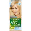 Garnier Color Naturals 102 Blond