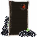 Sadvit Černý rybíz a nic víc 100% 1,5 l – Zboží Dáma