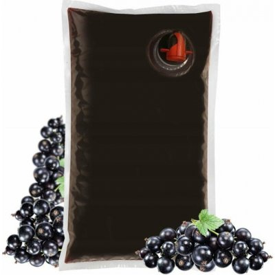 Sadvit Černý rybíz a nic víc 100% 1,5 l – Zboží Dáma