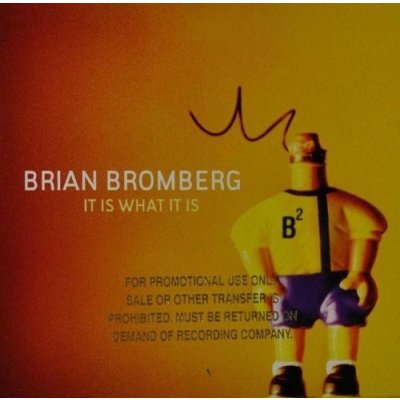 Bromberg Brian - It Is What It Is CD – Zboží Mobilmania