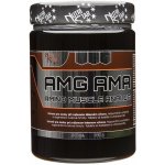 Nutristar AMG AMA 540 tablet – Hledejceny.cz