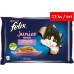 Felix Fantastic Junior s kuřetem a lososem v želé 4 x 85 g – Hledejceny.cz