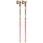 Leki WCR SL 3D 2025/26 – Sleviste.cz