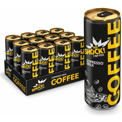 Big Shock! Coffee Espresso Ledová káva 12 x 250 ml – Hledejceny.cz