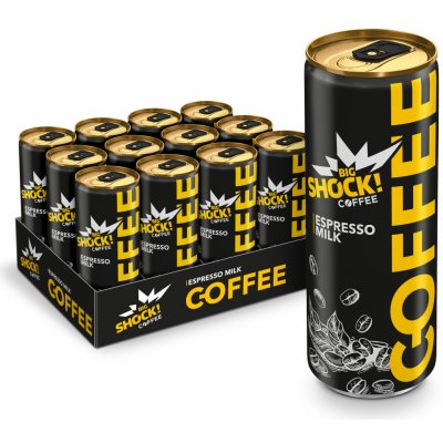 Big Shock! Coffee Espresso Ledová káva 12 x 250 ml