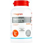Fagron Magnesium 500 + vit.B6 100 tablet – Hledejceny.cz