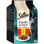 Sheba Fresh & Fine mix hovězí kuře jehněčí 6 x 50 g – Sleviste.cz