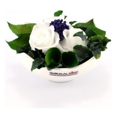 Nela White - bílá (Aranž 3x stabilizovaná "věčná" růže v keramické misce) – Zboží Mobilmania