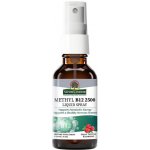 Nature's Answer Methyl B-12 2500mcg 30 ml – Hledejceny.cz