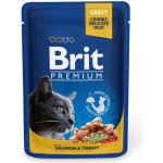 Brit Premium Cat Pouches with Salmon & Trout 24 x 100 g – Sleviste.cz